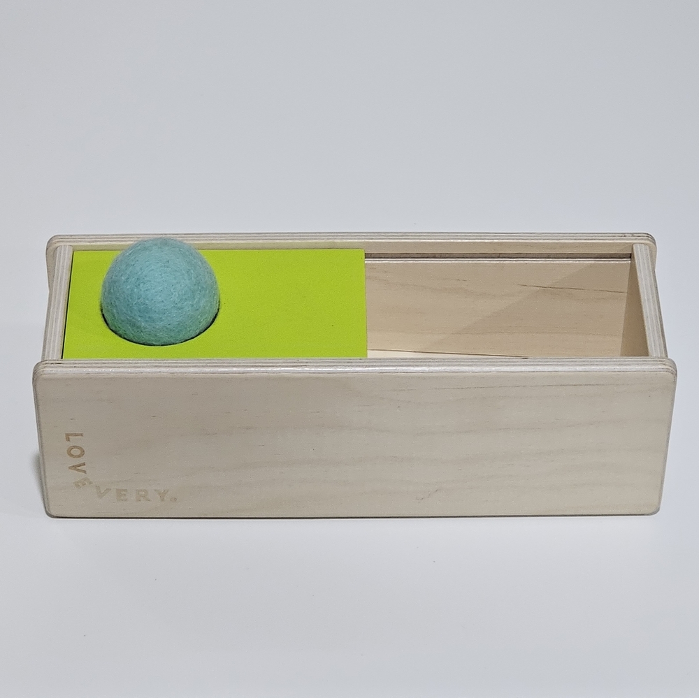 Lovevery Sliding Top Box from The Thinker Play Kit for Months 11-12